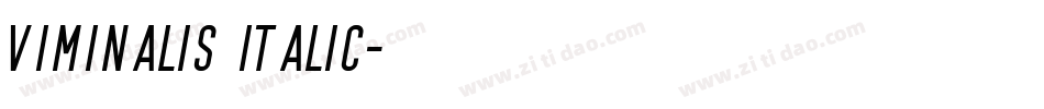 Viminalis Italic字体转换